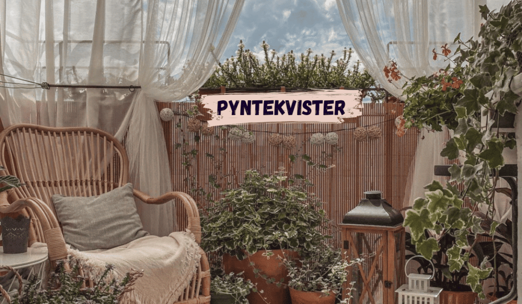 Pyntekvister