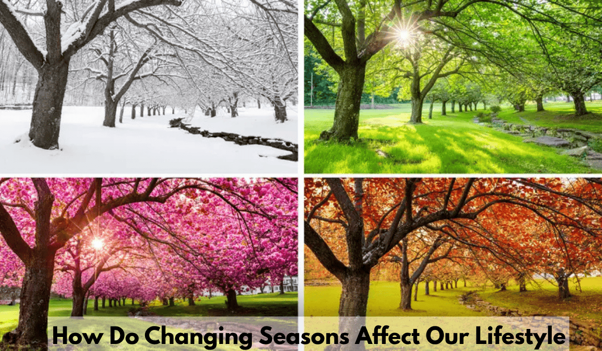 How Do Changing Seasons Affect Our Lifestyle