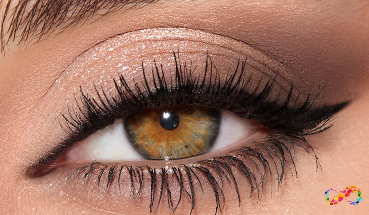 Black and Brown Smokey Eye