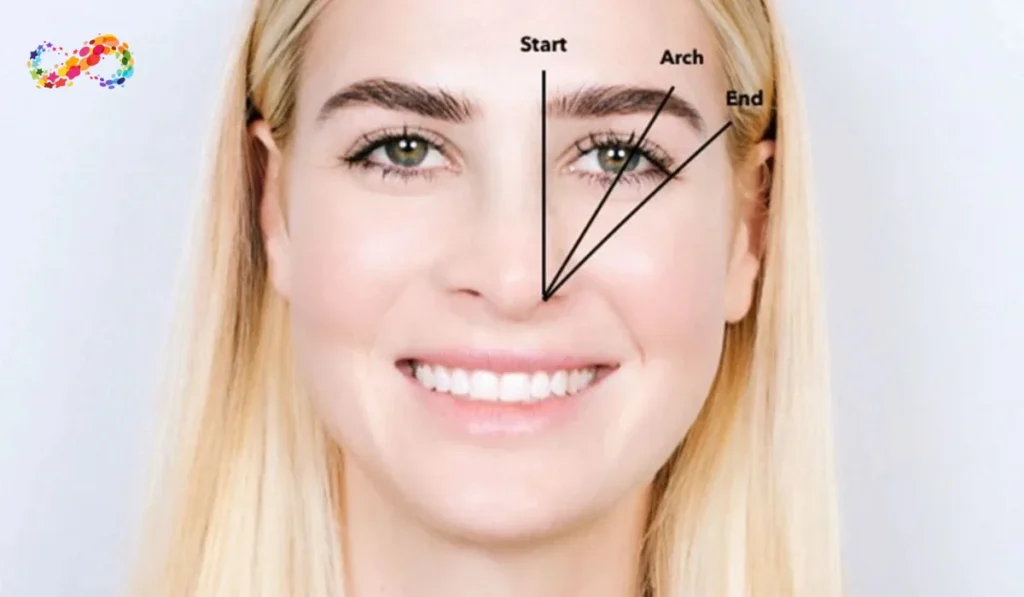 Where Should Your Eyebrows Start